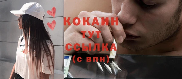 бошки Богданович