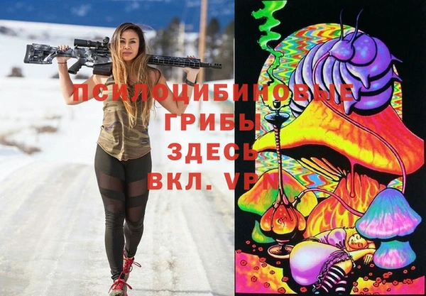 синтетический гашиш Богородск
