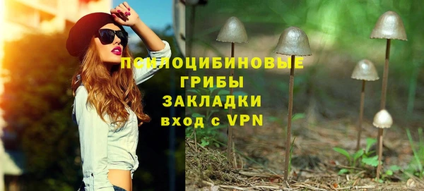 бошки Богданович
