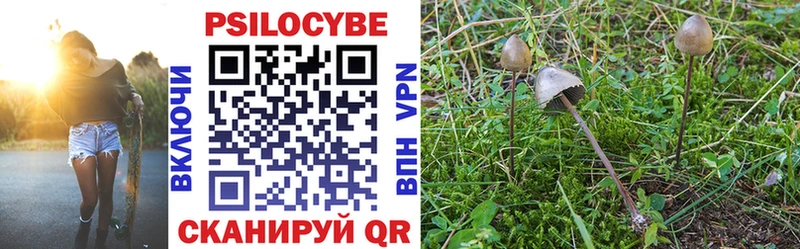 Галлюциногенные грибы MAGIC MUSHROOMS Кудымкар